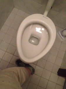 venice toilet