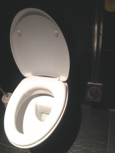 venice toilet