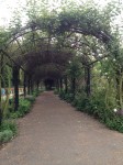 kensington gardens