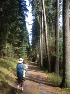 hiking Brudergrund in Odenwald