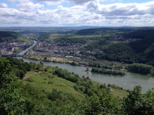 Rheingau view