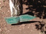 jagdschloss trail marker