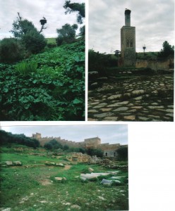 Moroccan ruins