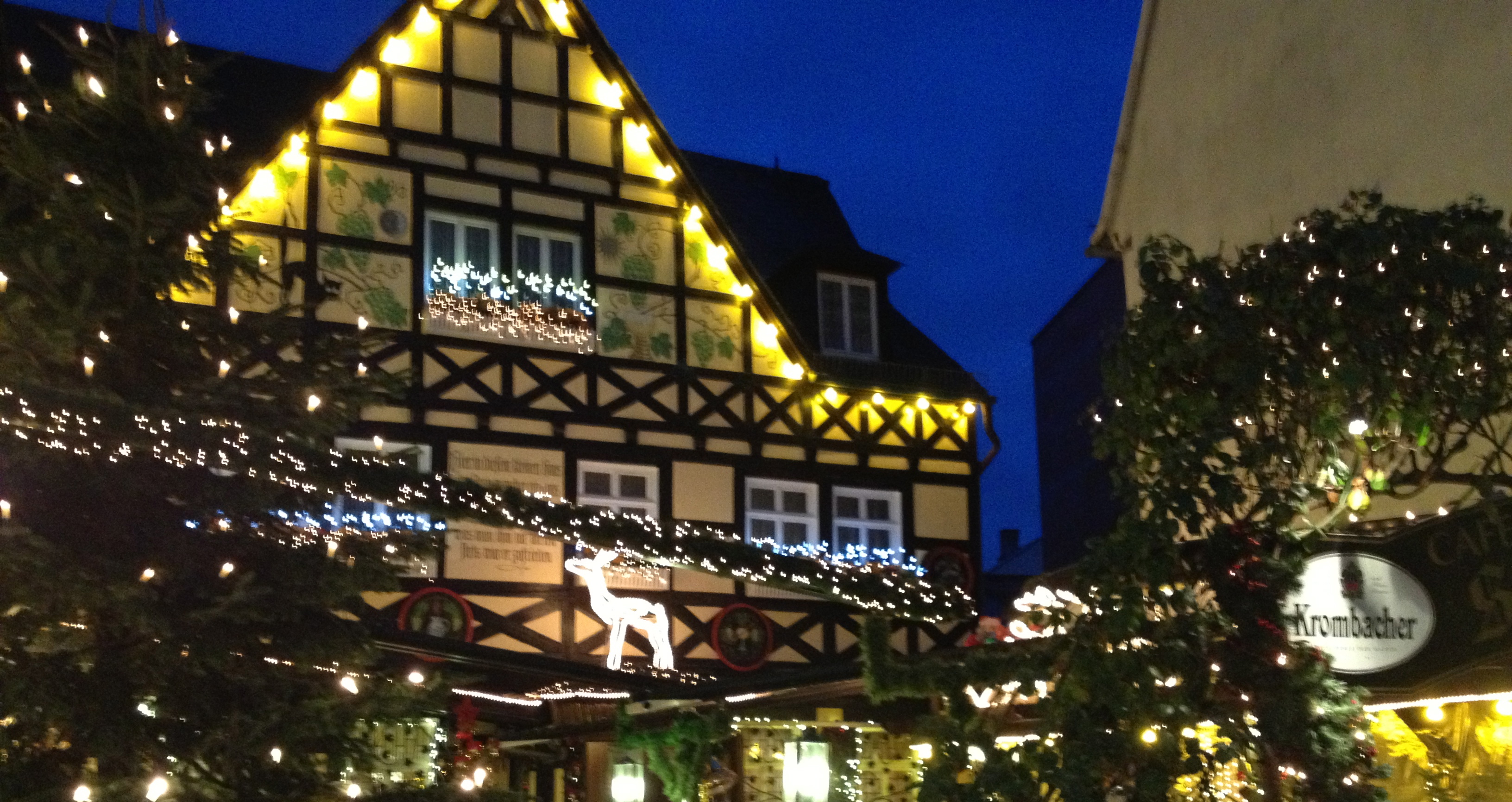 Lights, Coffee, Ponies at the Rüdesheim am Rhein Christmas Market of Nations