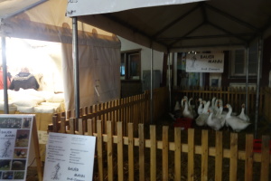 dieburg martinsmarkt 2014