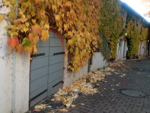 colorful fall leaves dieburg tiny door wall