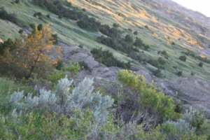 Theodore Roosevelt National Park, ND - 2006