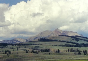 The Wyoming region of Yellowstone - 2002