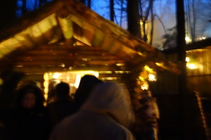 bavarian weihnachtsmarkt, schoenseerland, advent in the woods