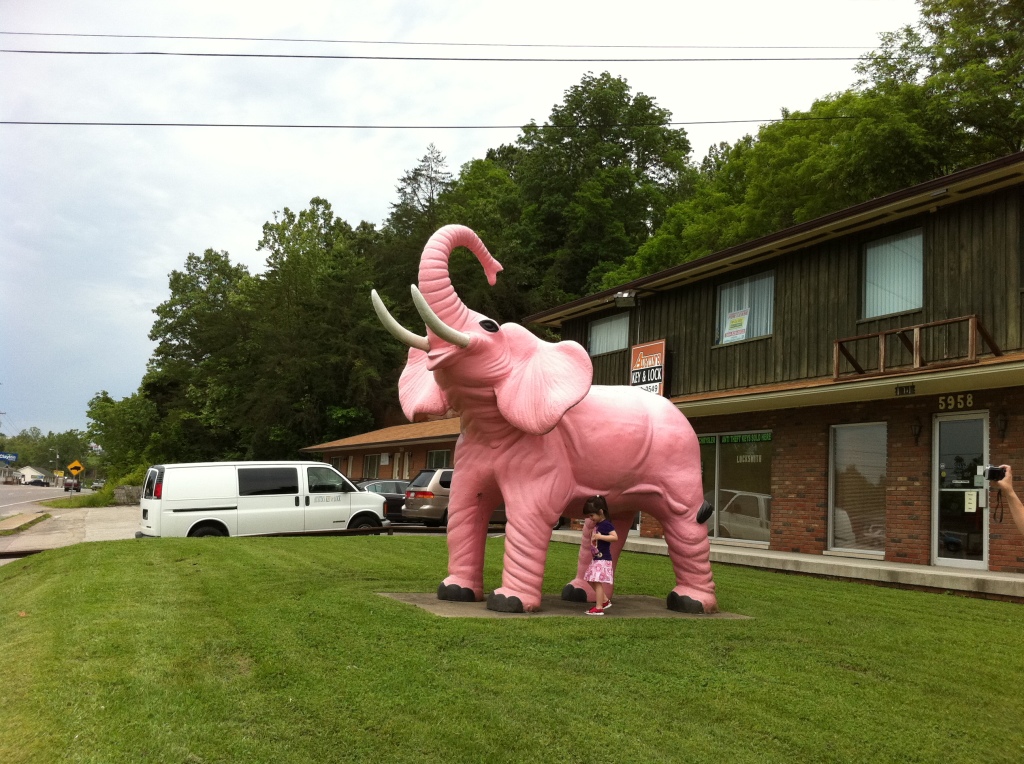 pink elephant west virginia