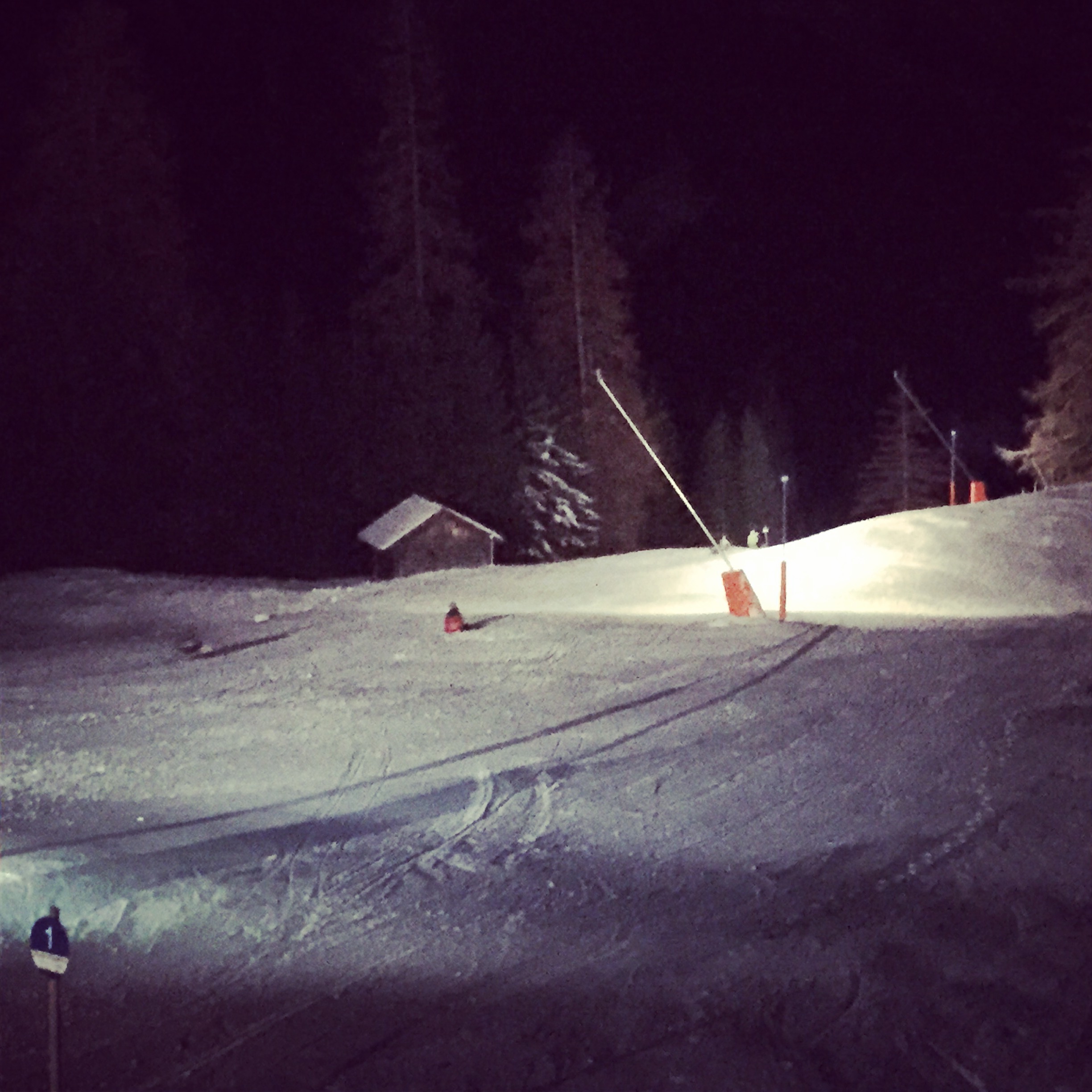 Austrian Night Sledding: My Second Attempt at Death Today