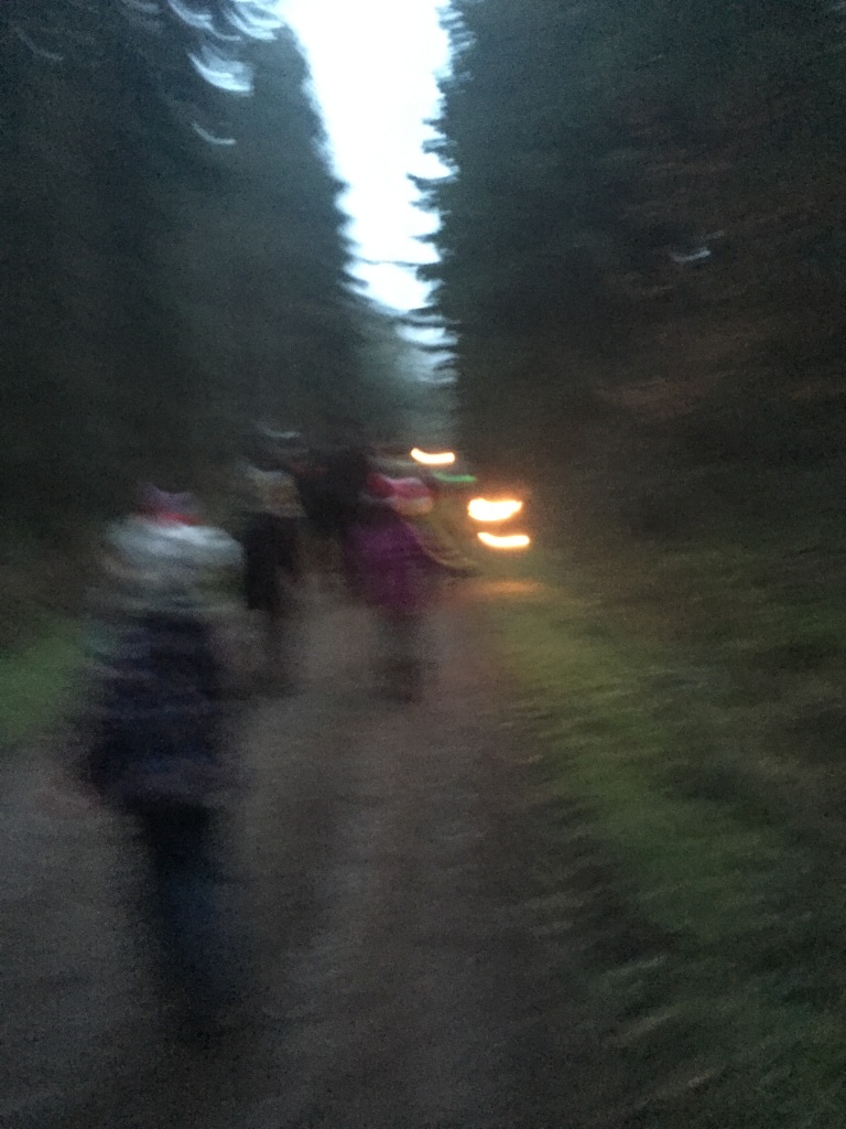 torches hike