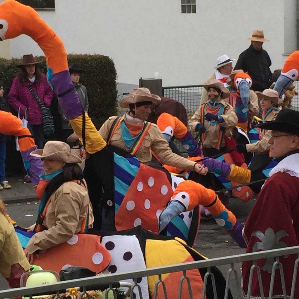 flamingo costumes dieburg fasching karneval parade