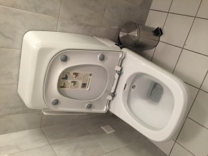 Funny toilets, weird toilets