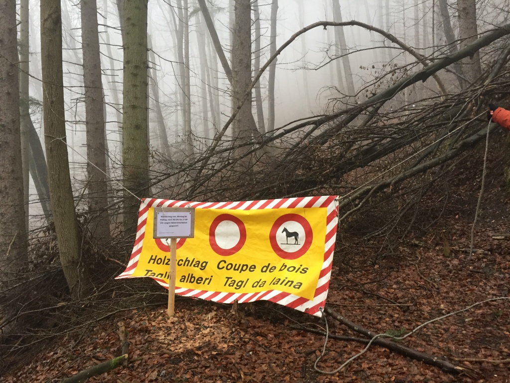down trees, no trespassing sign, safety, europe, woods, warning sign