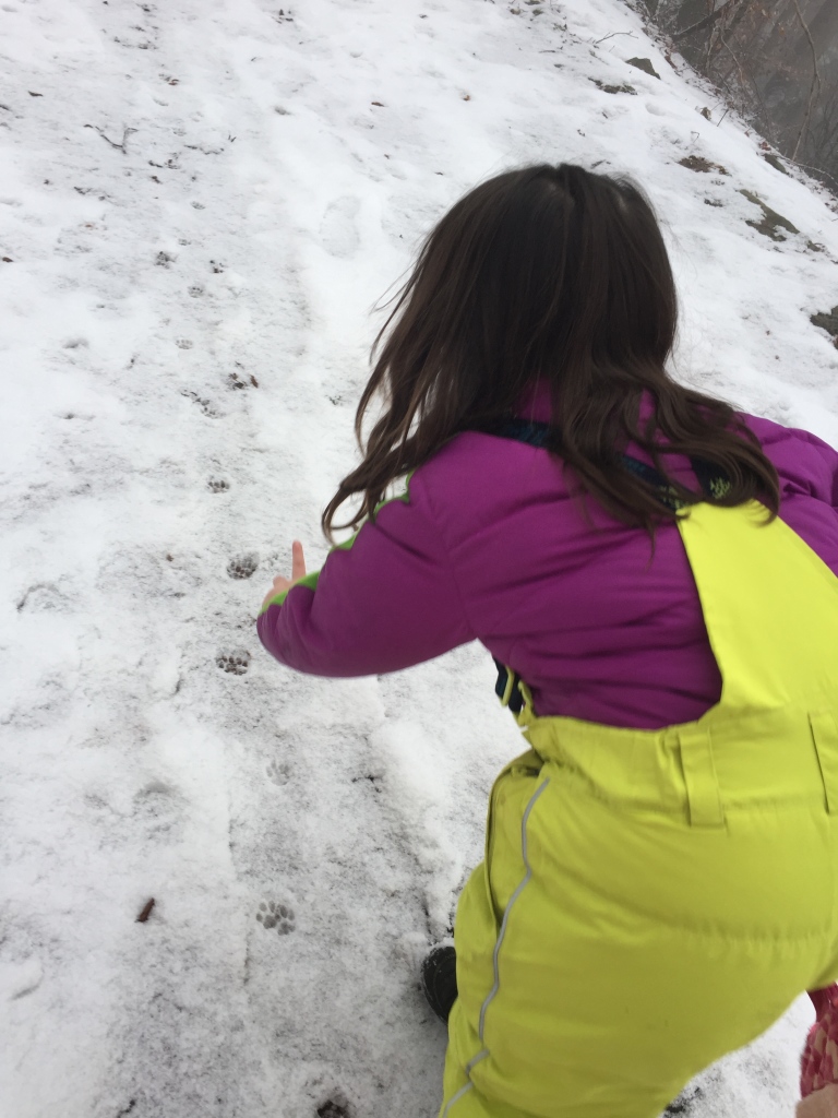 girl, snow pants, winter hiking, animal prints, pawprints