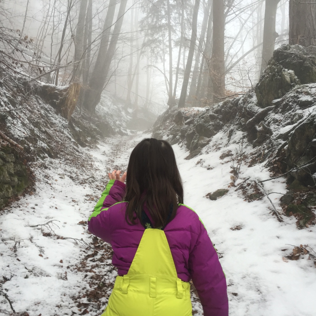 girl tracking animals, winter hiking, kid