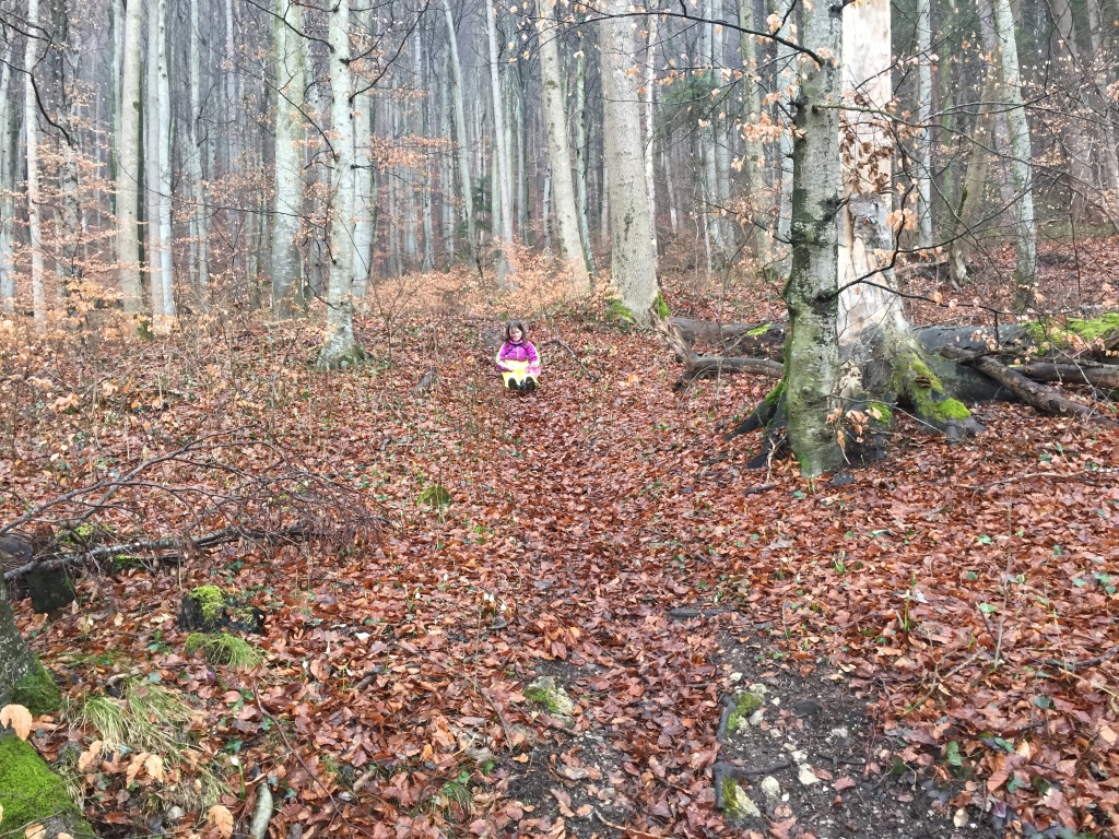 girl sliding down hill, muddy, trail hiking, winter hiking, woods, europe