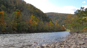 fall foliage, river bank