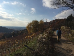 bergstrasse hike starkenburg heppenheim vineyards