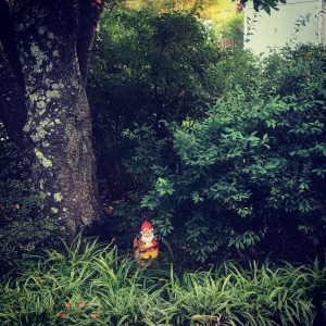 You know it's home when you've placed your gnome.