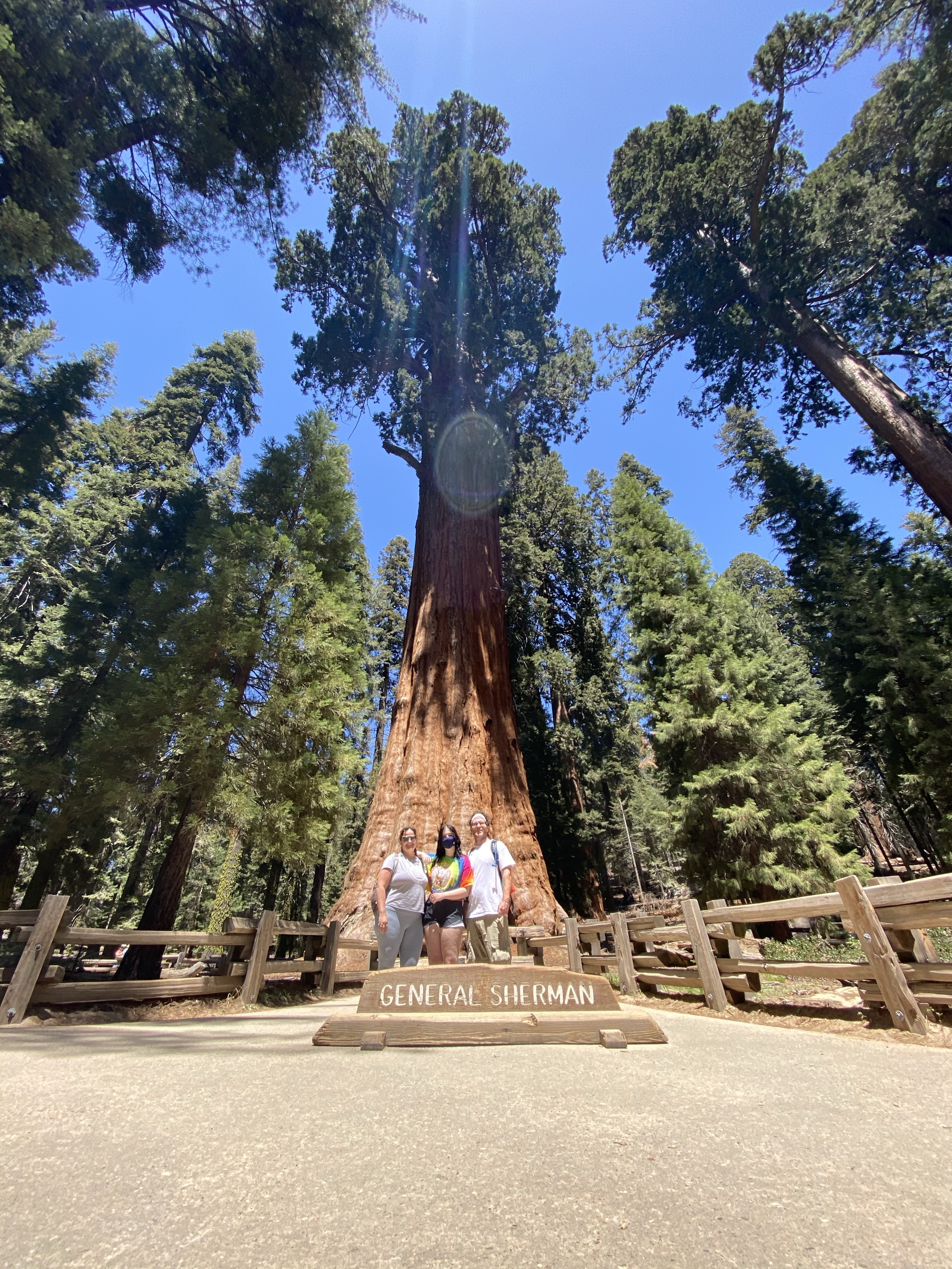 A Sequoia National Park Trip